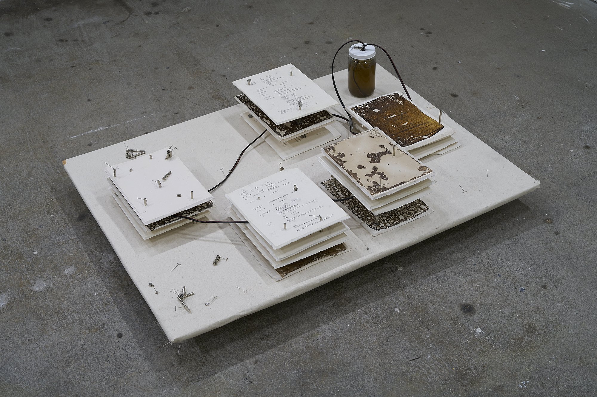 Lynsey Robertson_250718.jpg