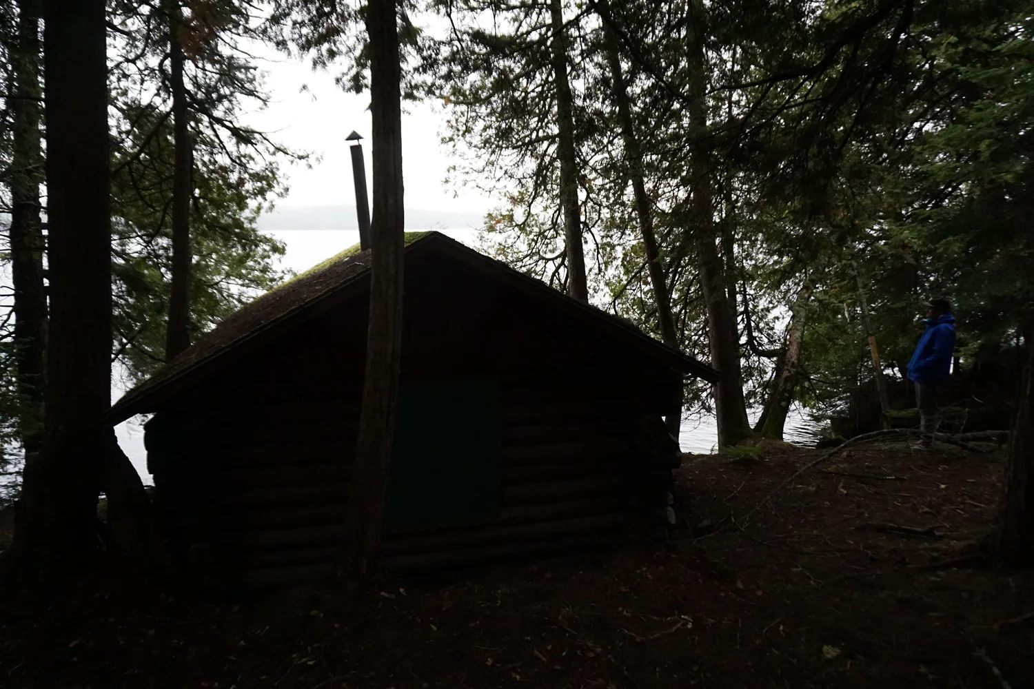 cabin in the woods.jpg