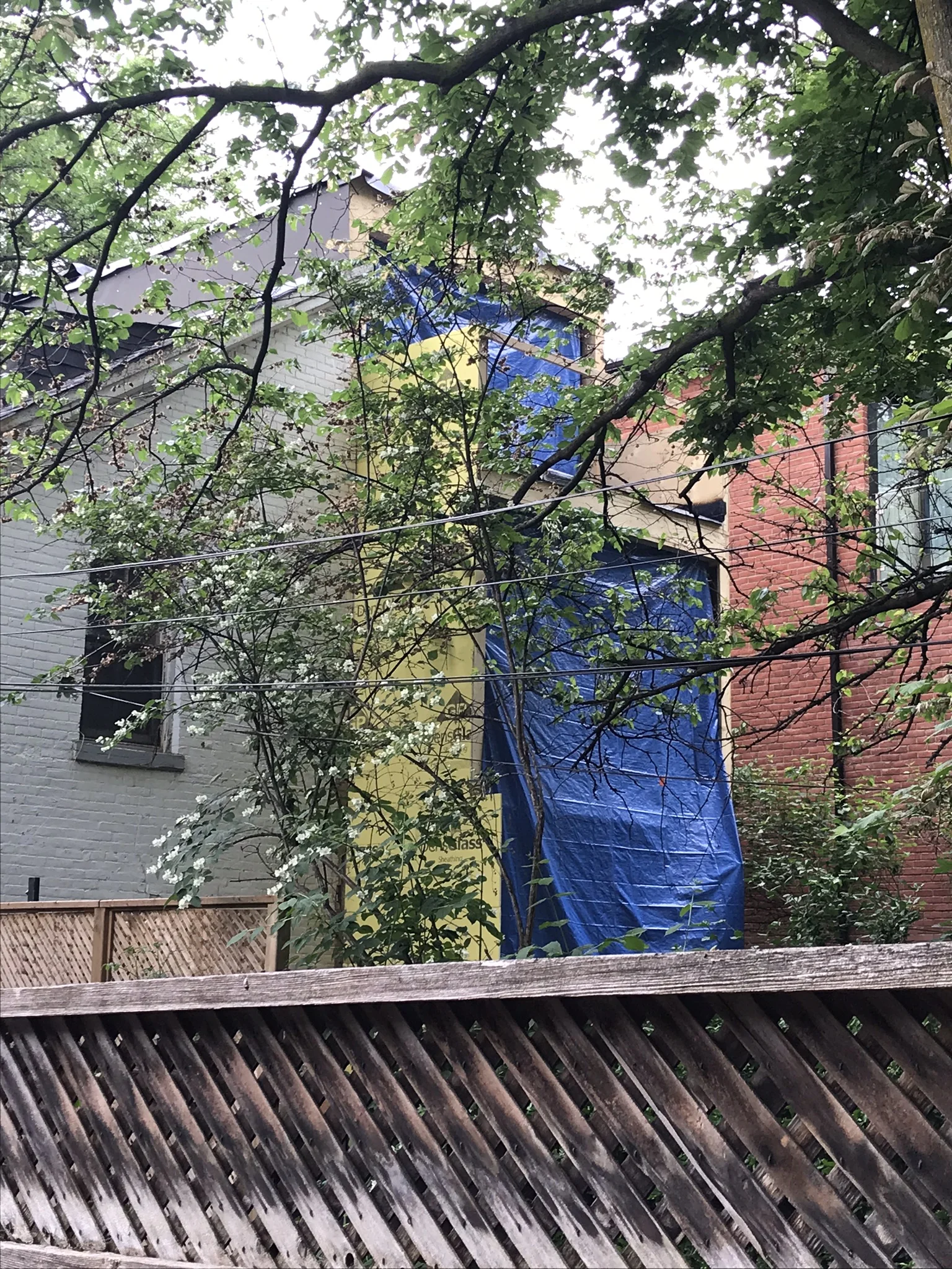 Boswell Avenue Renovation and Addition construction photo update
