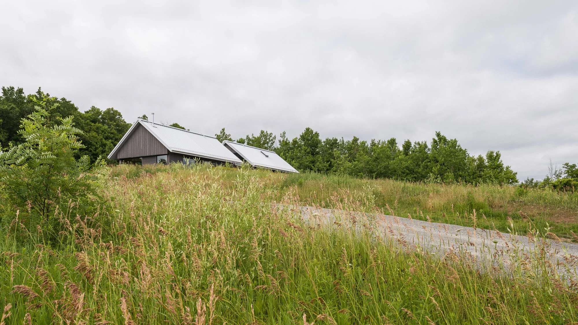 Regional modernist house with a custom curved ridge roofline designed to blend seamlessly into a drumlin hilltop landscape in Ontario.