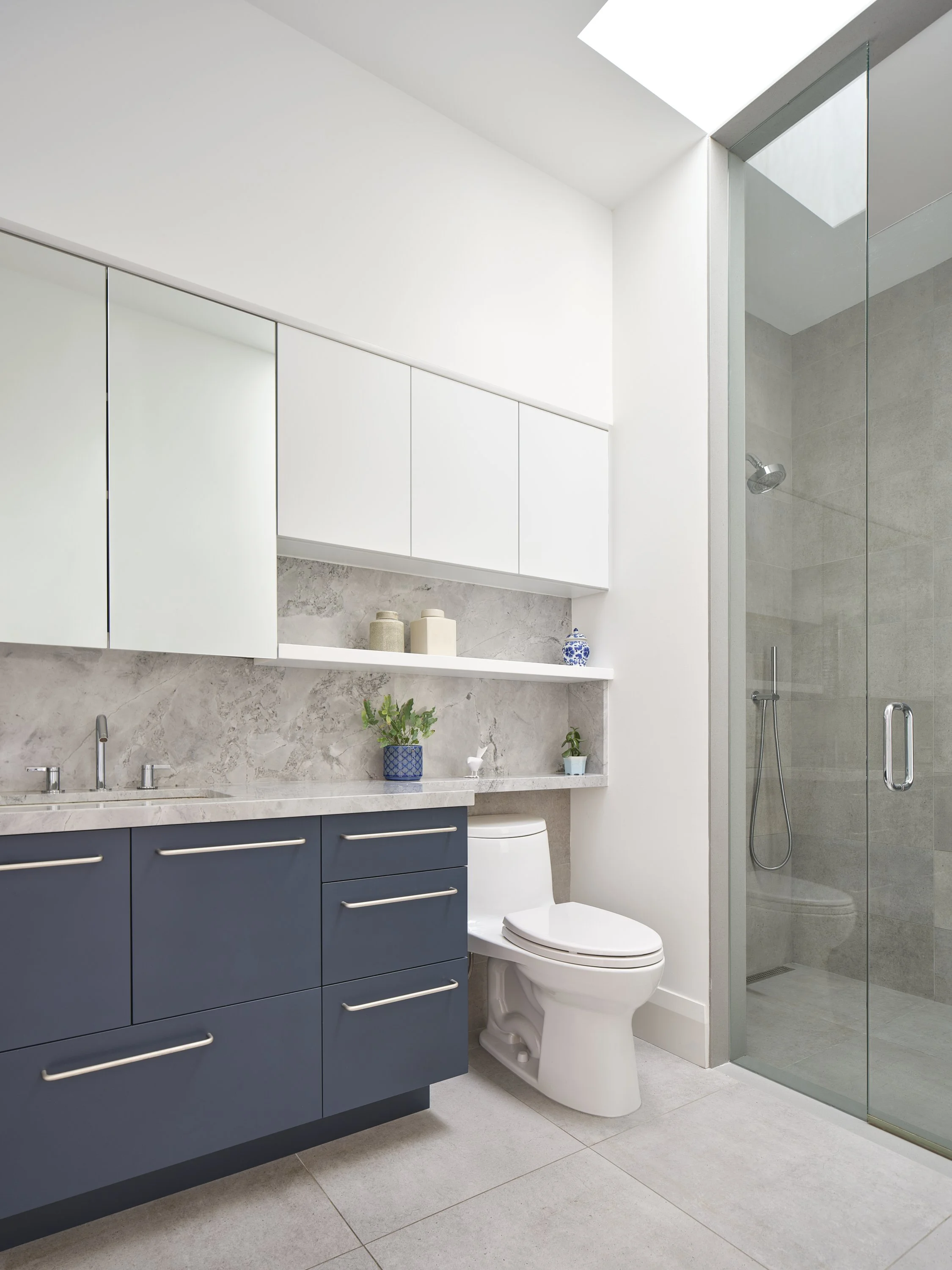Luxury residential bathroom renovation with a walk-in shower beneath an integrated ceiling skylight.