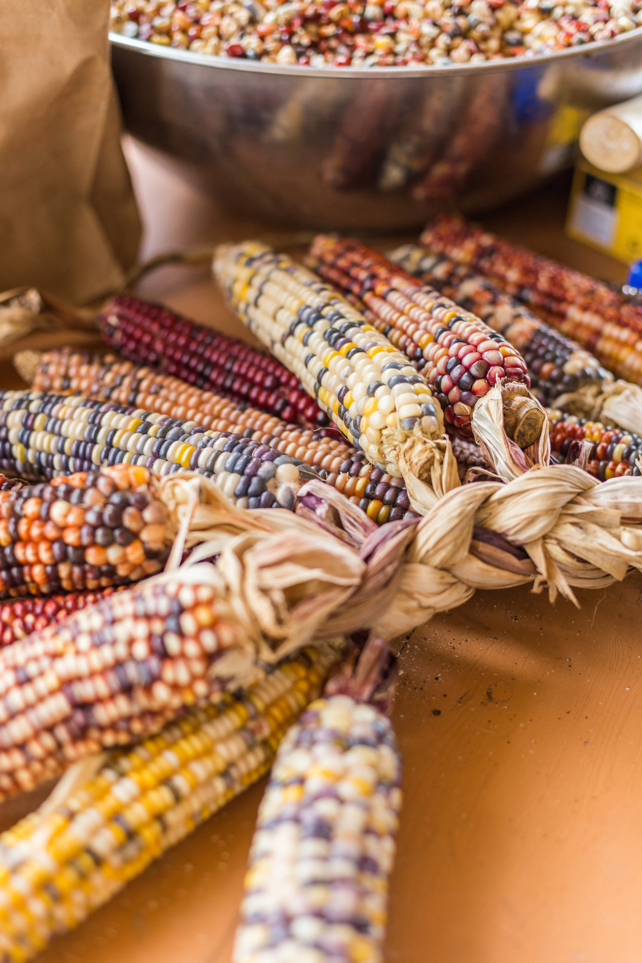 harvestofjoy_8.13-30.jpg