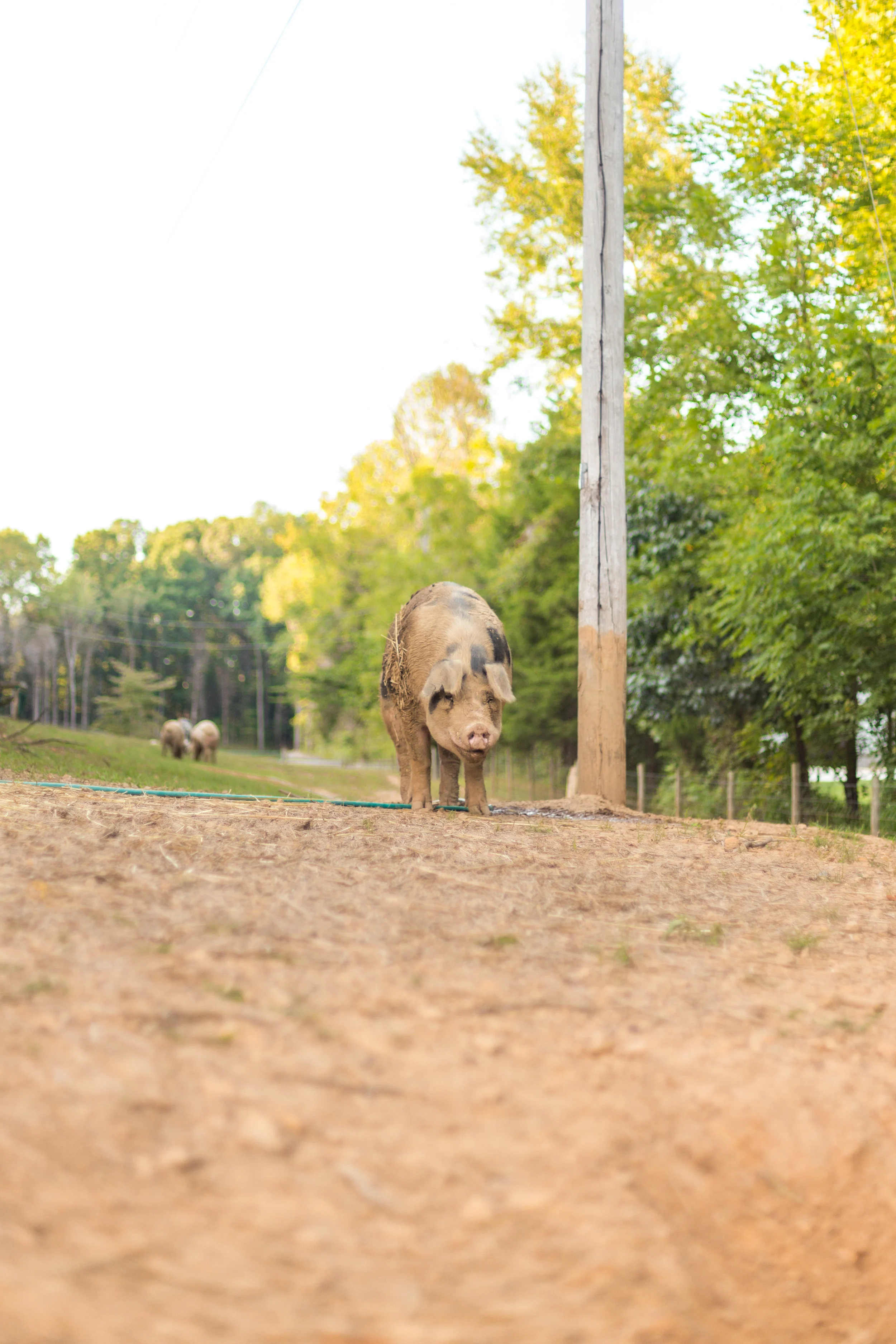 UplandsPeak_paulinamphoto-160.jpg