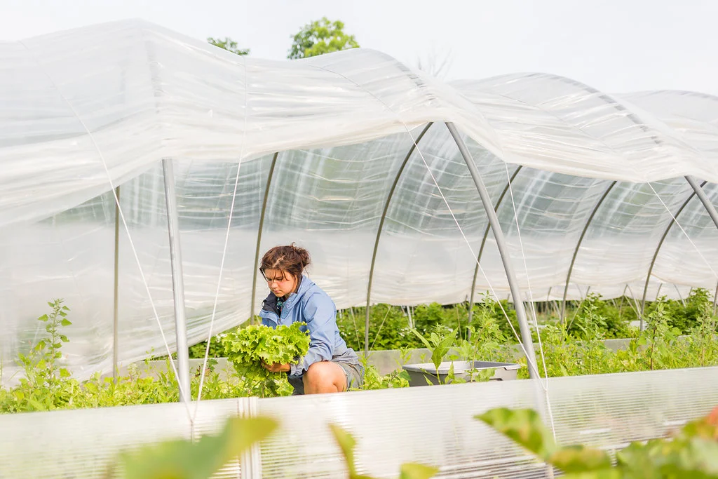 greenwagonfarm_paulinamphoto-31.jpg