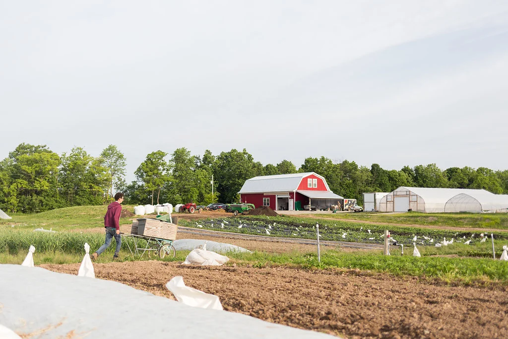 greenwagonfarm_paulinamphoto-63.jpg