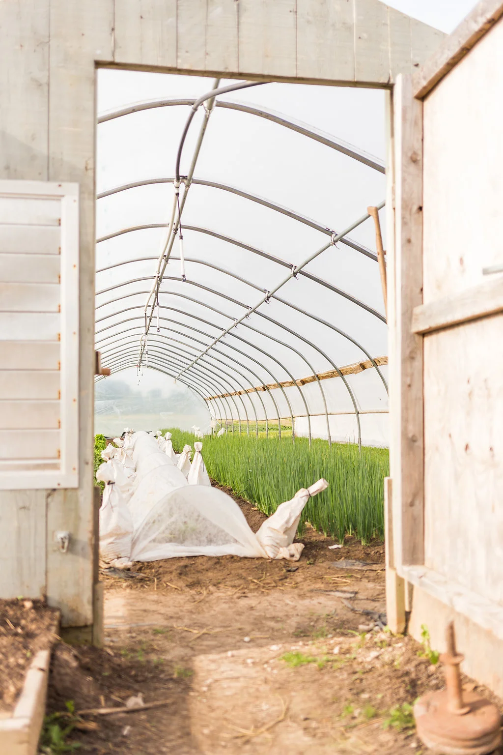 greenwagonfarm_paulinamphoto-143.jpg
