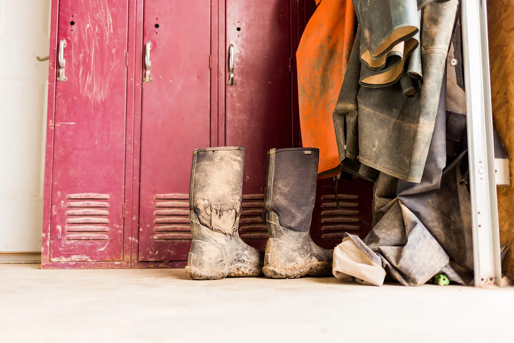 greenwagonfarm_paulinamphoto-260.jpg