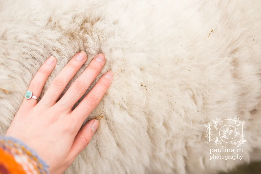 FloridaRescueFarm_paulinamphoto-112.jpg