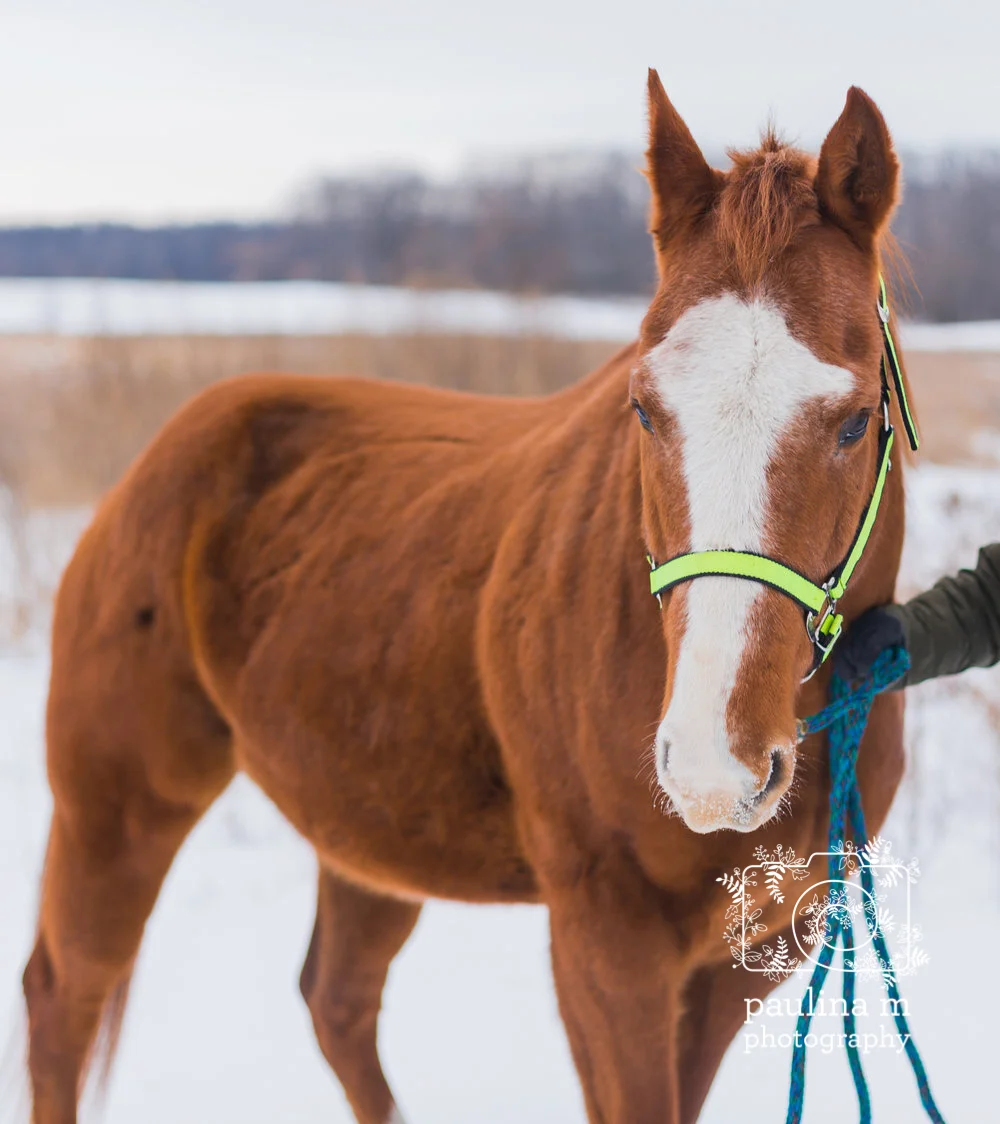 redemptionranch_paulinamphoto-32.jpg