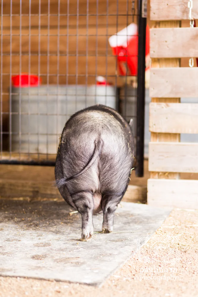 goodacressanctuary_paulinamphotography115.jpg