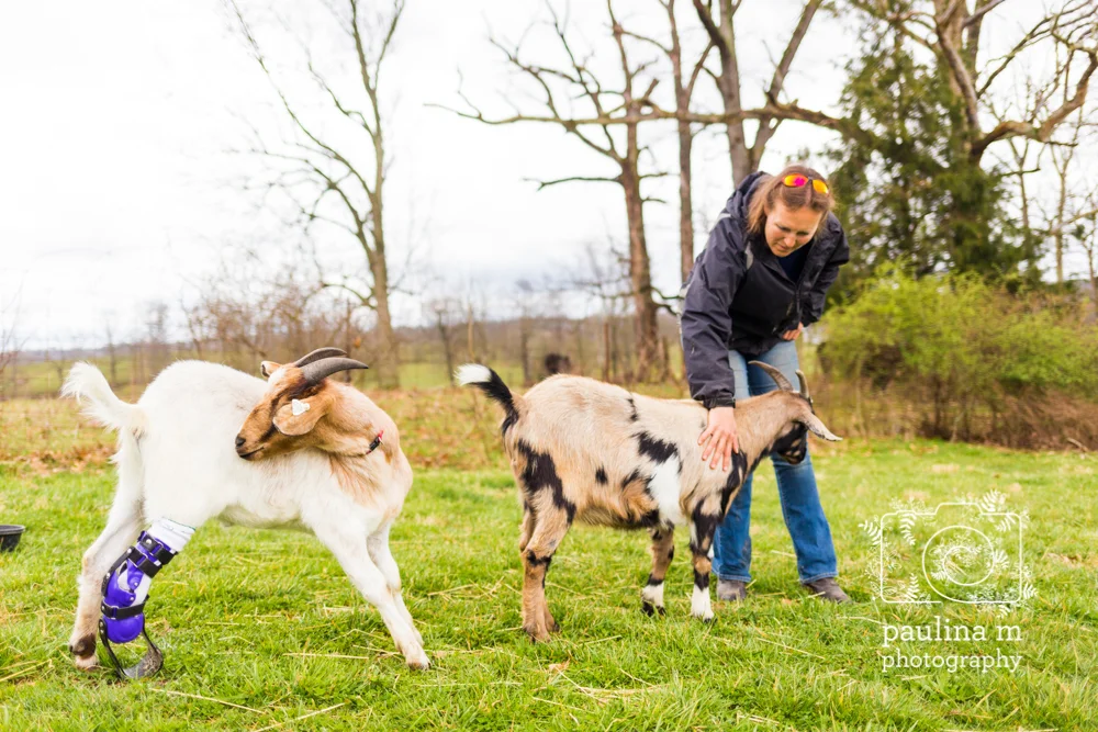 goodacressanctuary_paulinamphotography226.jpg