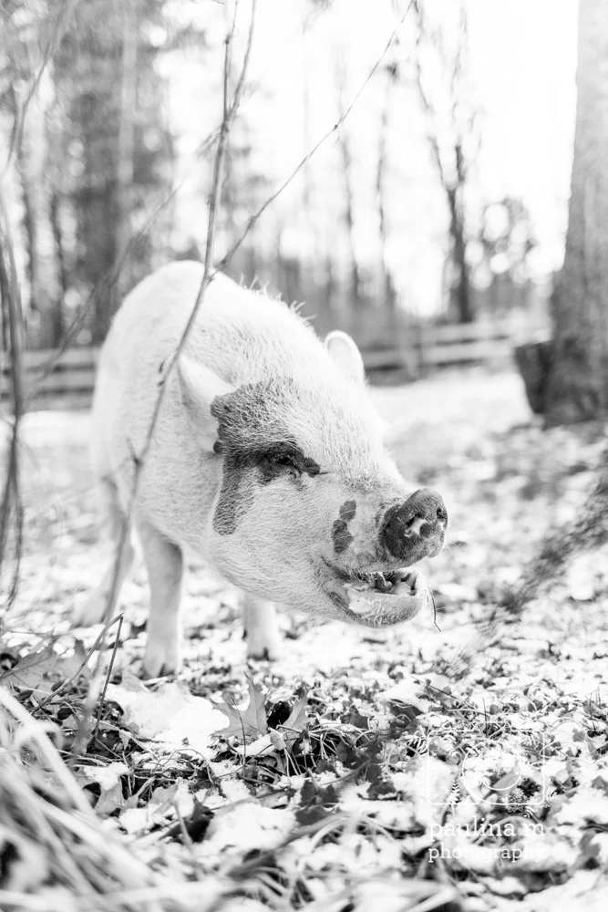 dominion_paulinamphotography23.jpg
