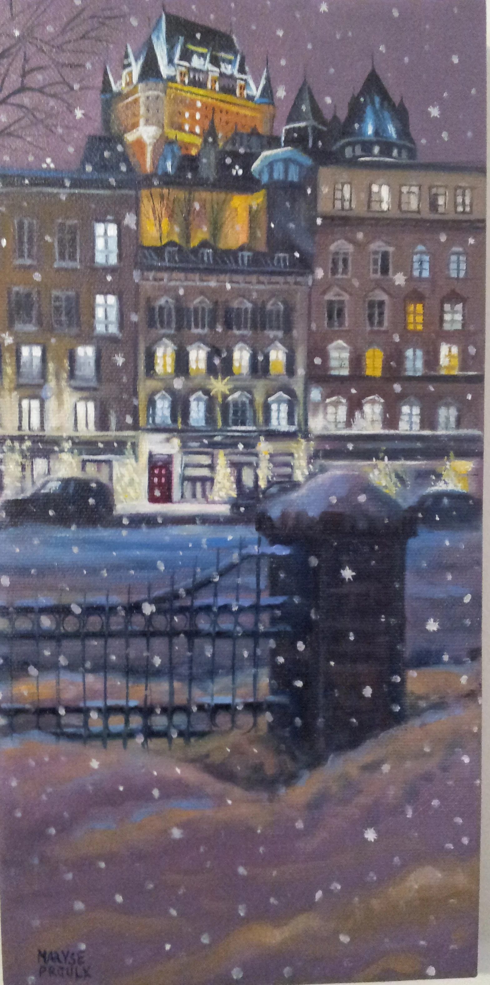 janvier c'est l'hiver a Québec!