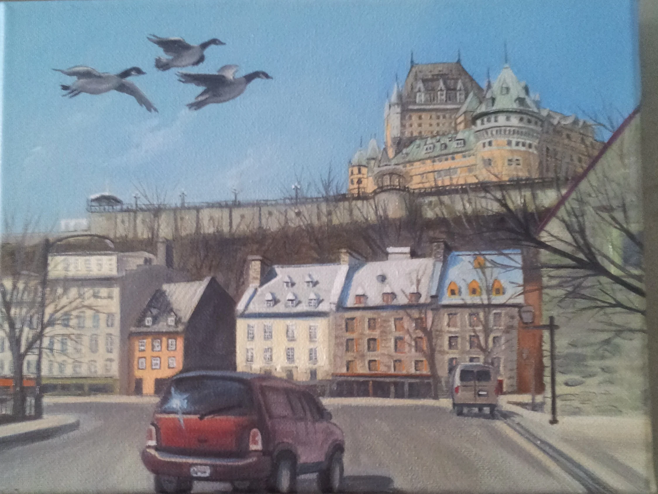 l'arrivee des bernaches 