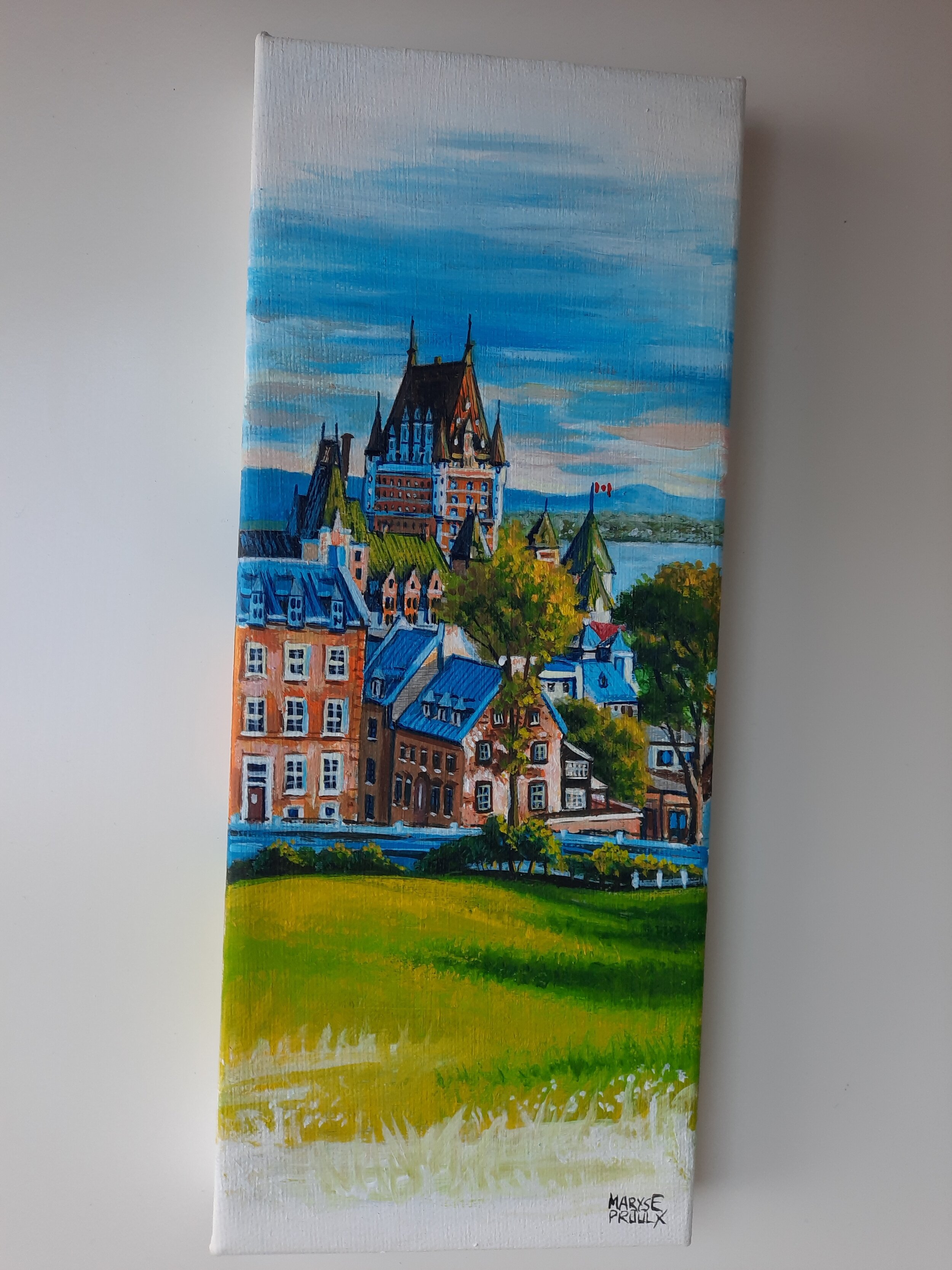 Vue des plaines d'Abraham a Québec