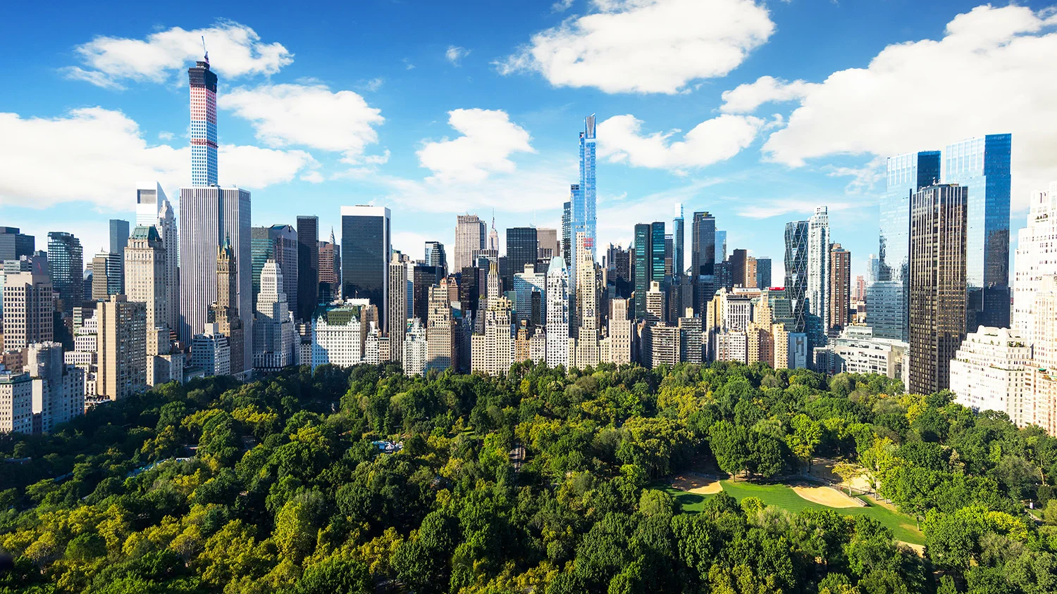 centralpark skyline.jpg