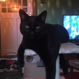 Jacob - Adopted May 18