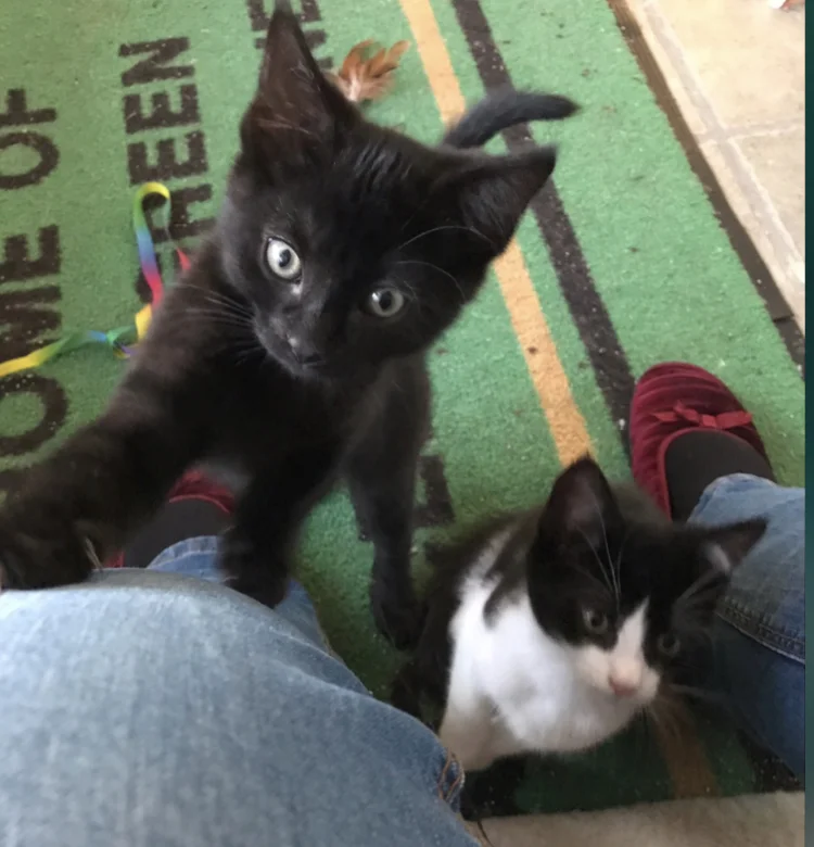 Srebro and Lilly 2.jpg
