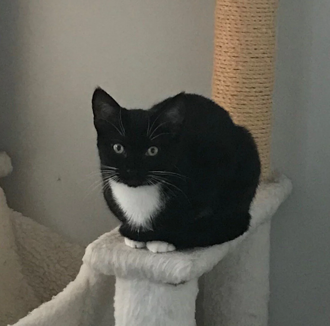 Tiptoes.jpg