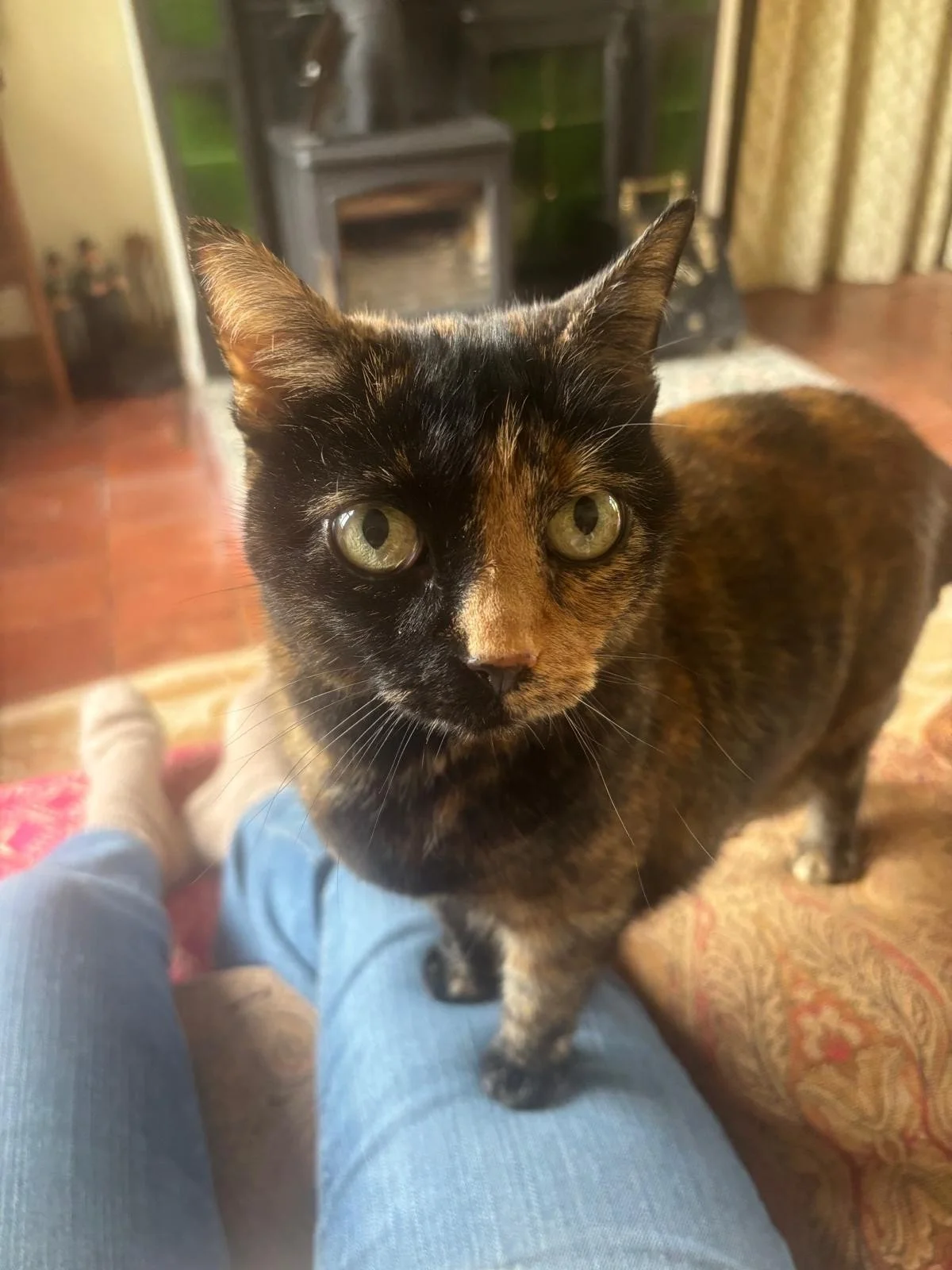 Tilly