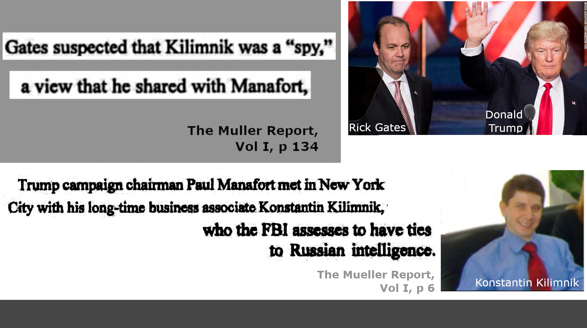muellermemespy.png