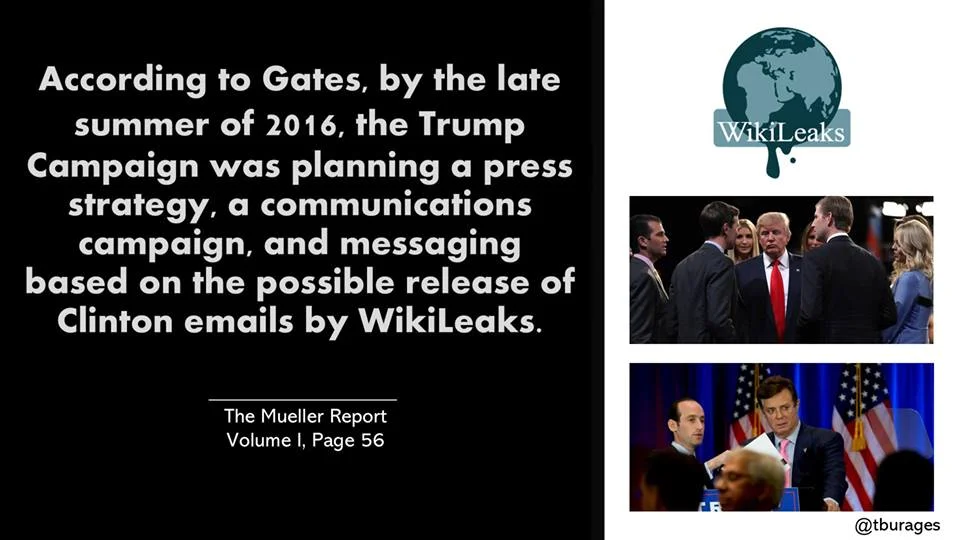 mueller006.jpg