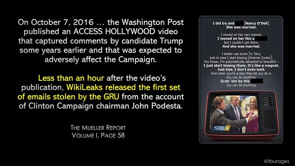 mueller007.jpg