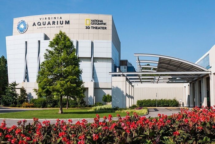 Virginia Aquarium &amp; Marine Science Center 