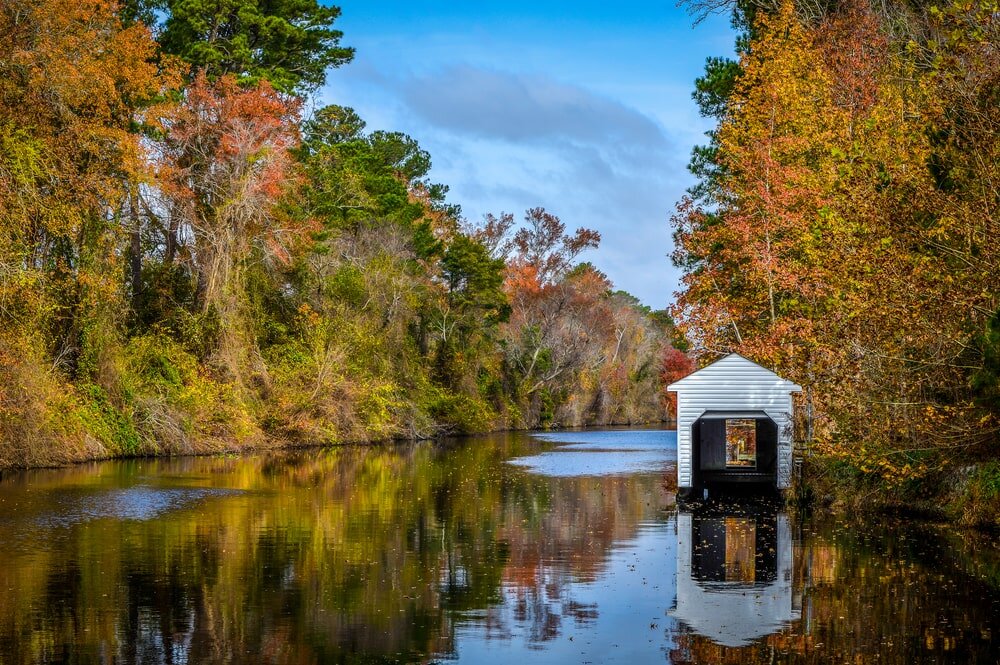 Great Dismal Swamp Canal in Fall