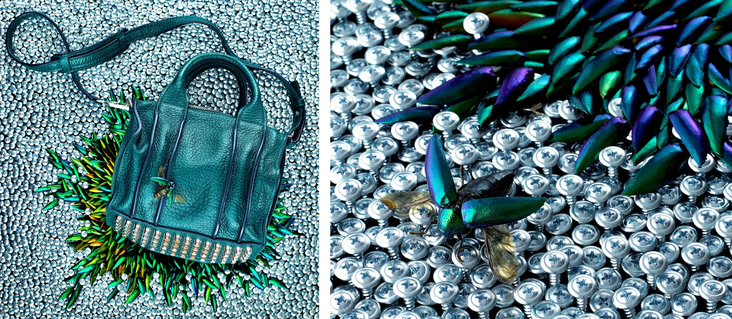 CELINE GRISCOM "I saw the nuanced and rich teal color mimicked in the wings of these beetles, and was also inspired by the excesses of the bag's hardware. So I got down to screwing in thousands of screws and meticulously placing hundreds of beetle wings, because OCD art has always fascinated me as a way to express oneself. Shot by the amazing Nathan Kraxberger in his Soho studio."
