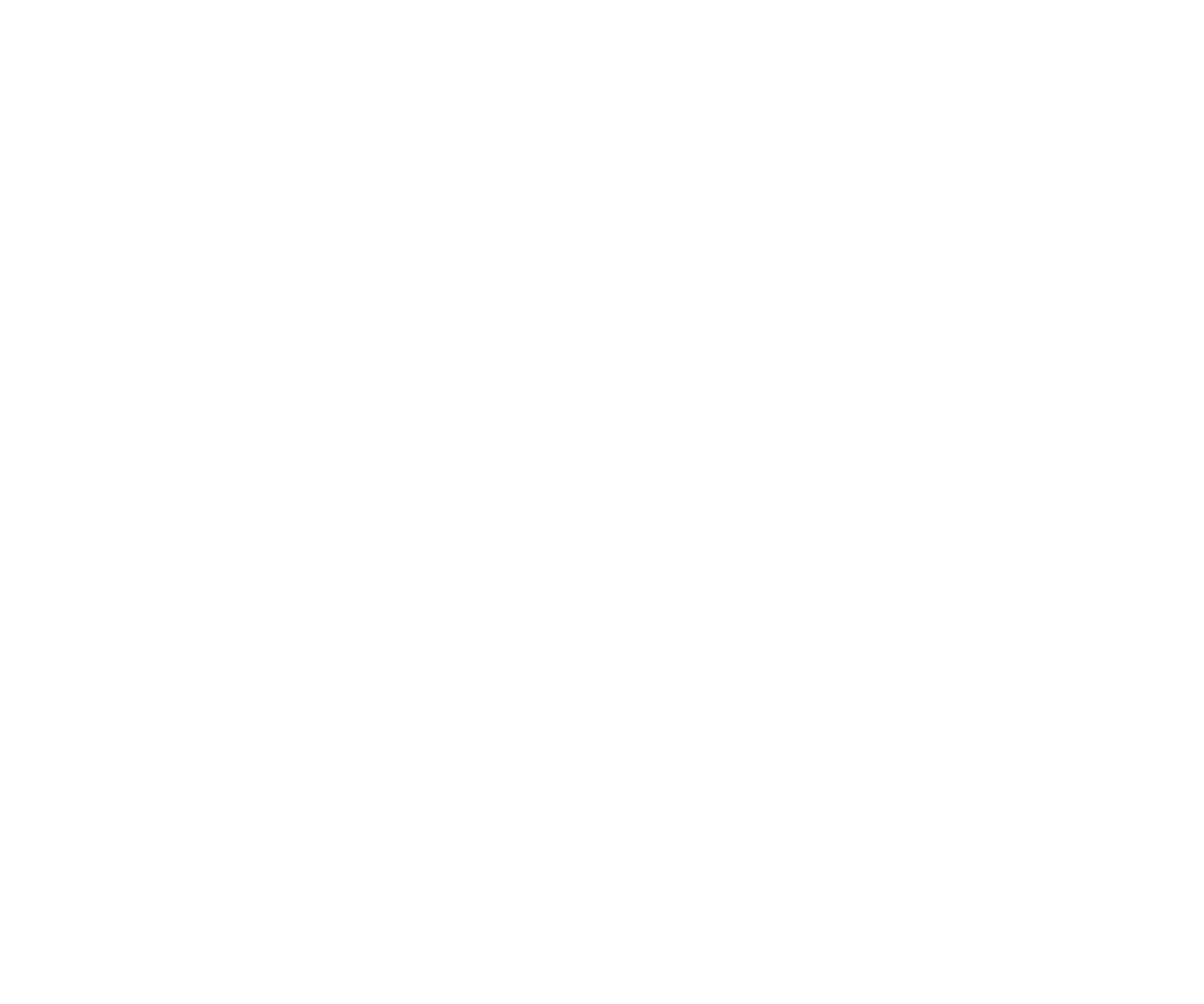 Sihi_white.png