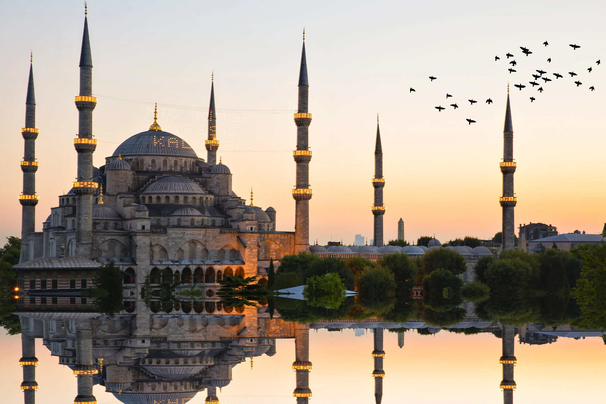 Photo by Photosensia/iStock / Getty Images