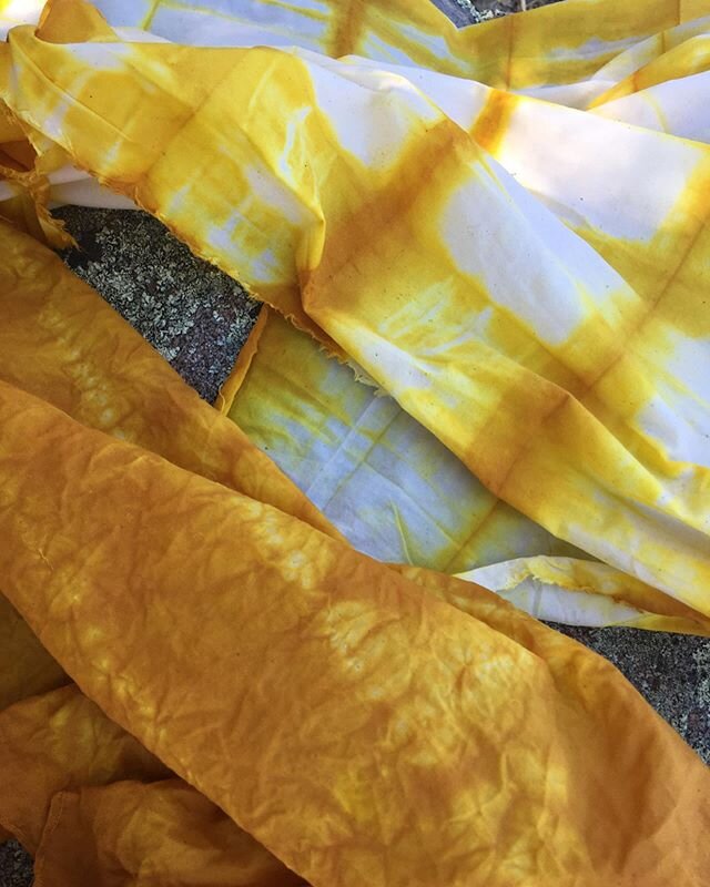 My experience with turmeric dye is all up on my stories and saved to highlights now. Click on through and try it out! (This is a learning journey, I&rsquo;m no expert). Turmeric is a fugitive dye, meaning it&rsquo;s not the most colorfast or longest 