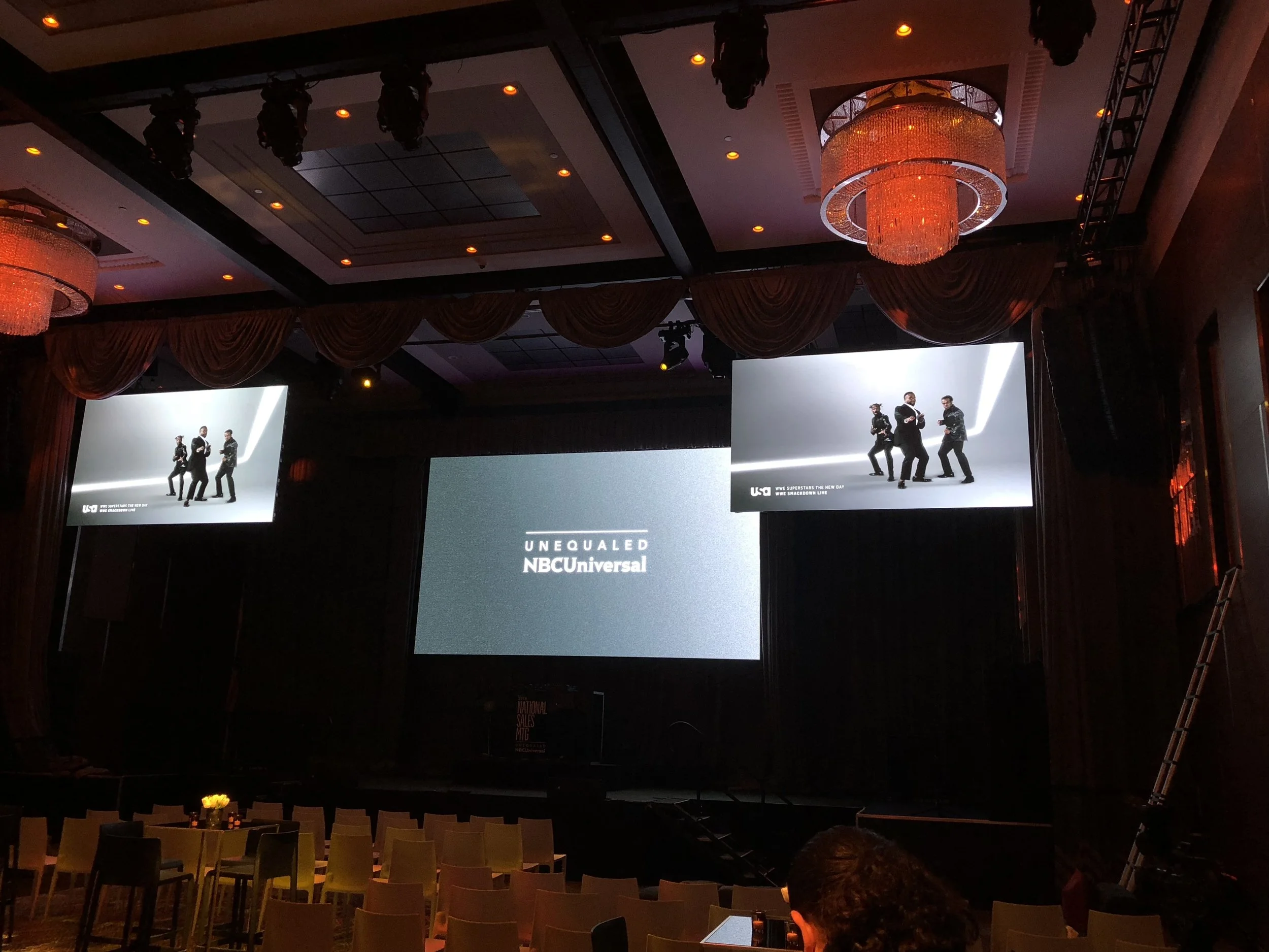 ziegfield screens_3.JPG