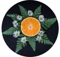 clem circle.png