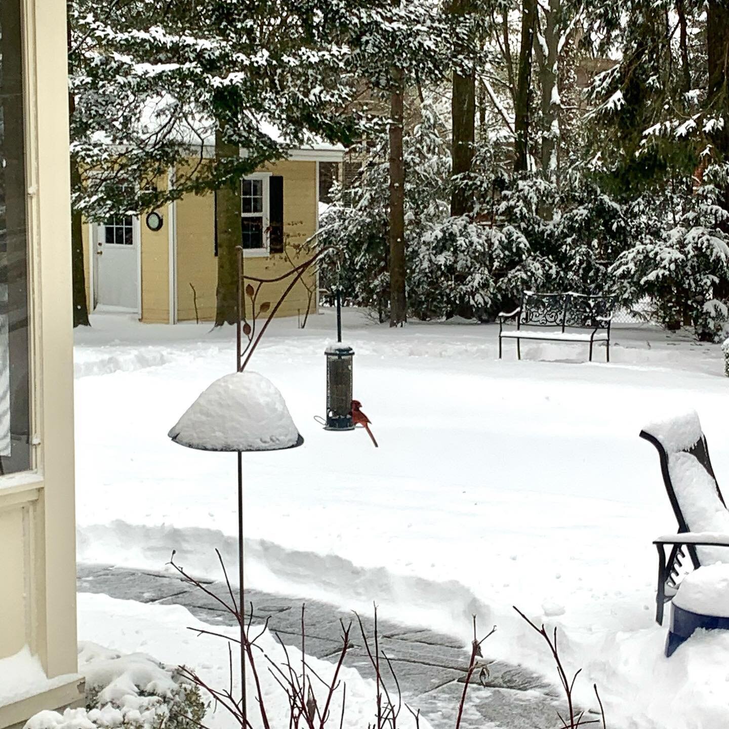 Every room should have a #touchofred❣️#winterwonderland #snowday #kitchenview #eatingout