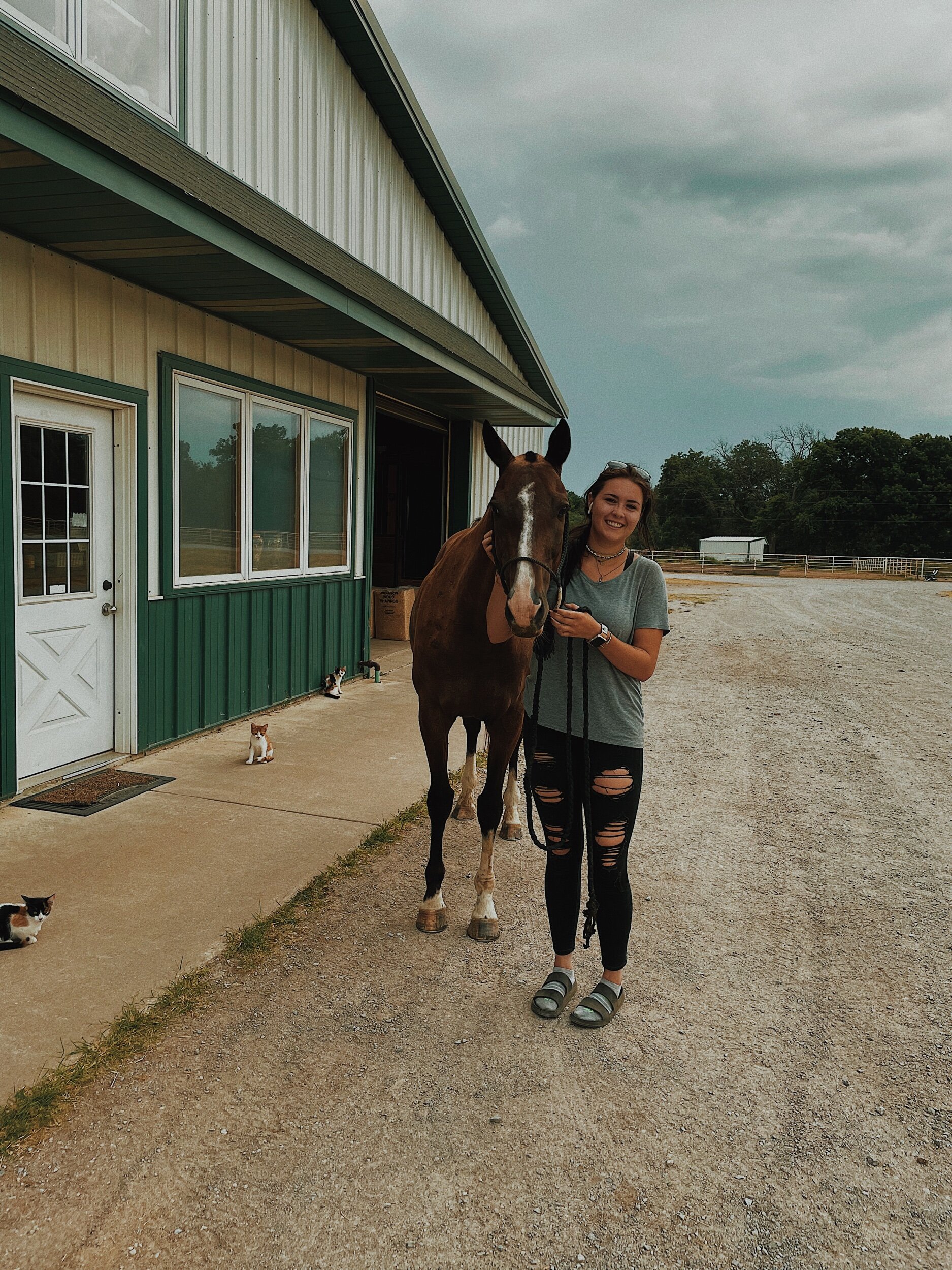 88BDB96B-7072-4064-AC72-FEAEAB7D0429