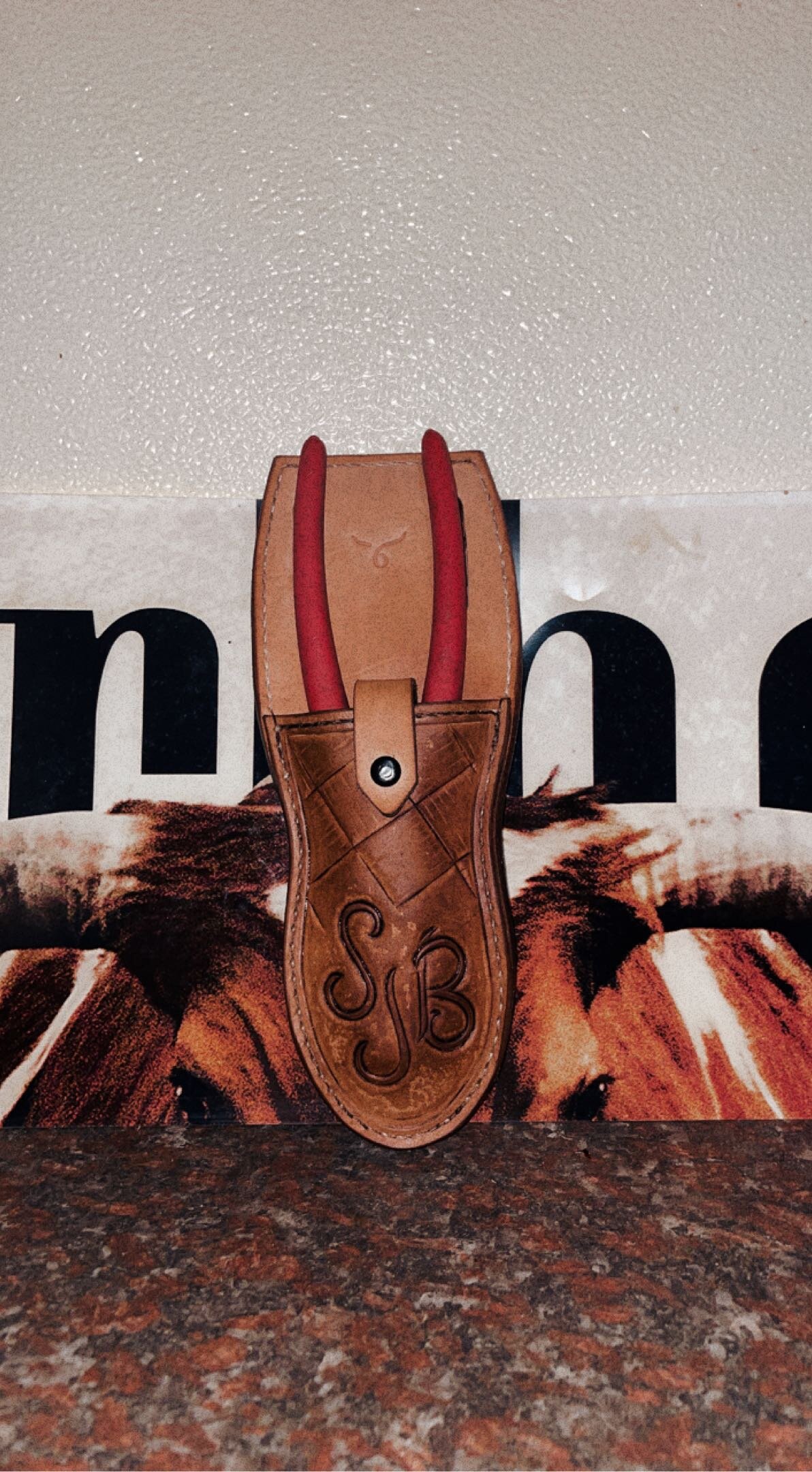 7E74689A-40D8-4F4E-A849-6734E94C6BB2