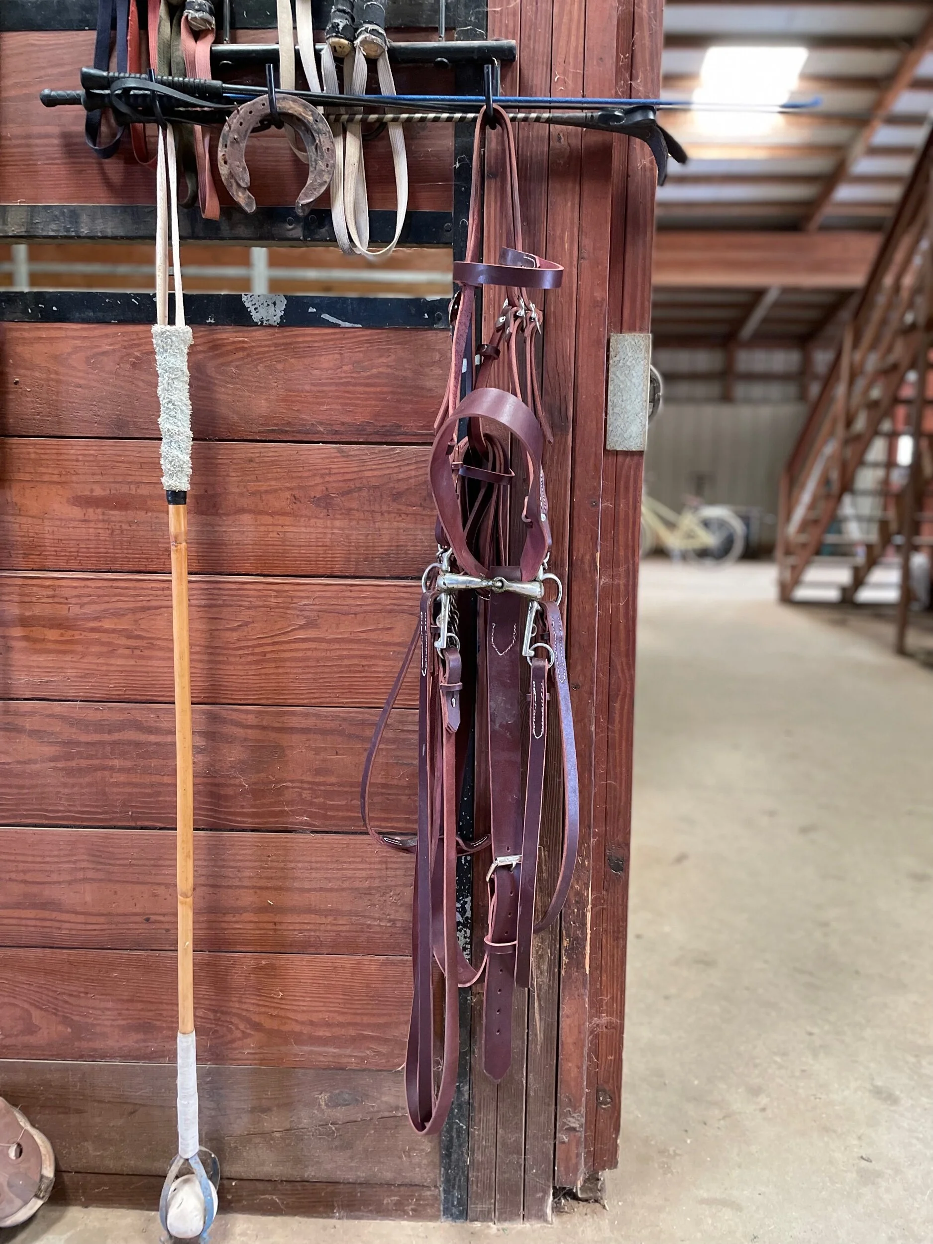 4A36802C-83DE-4BD1-BDD5-2E468080DCD5