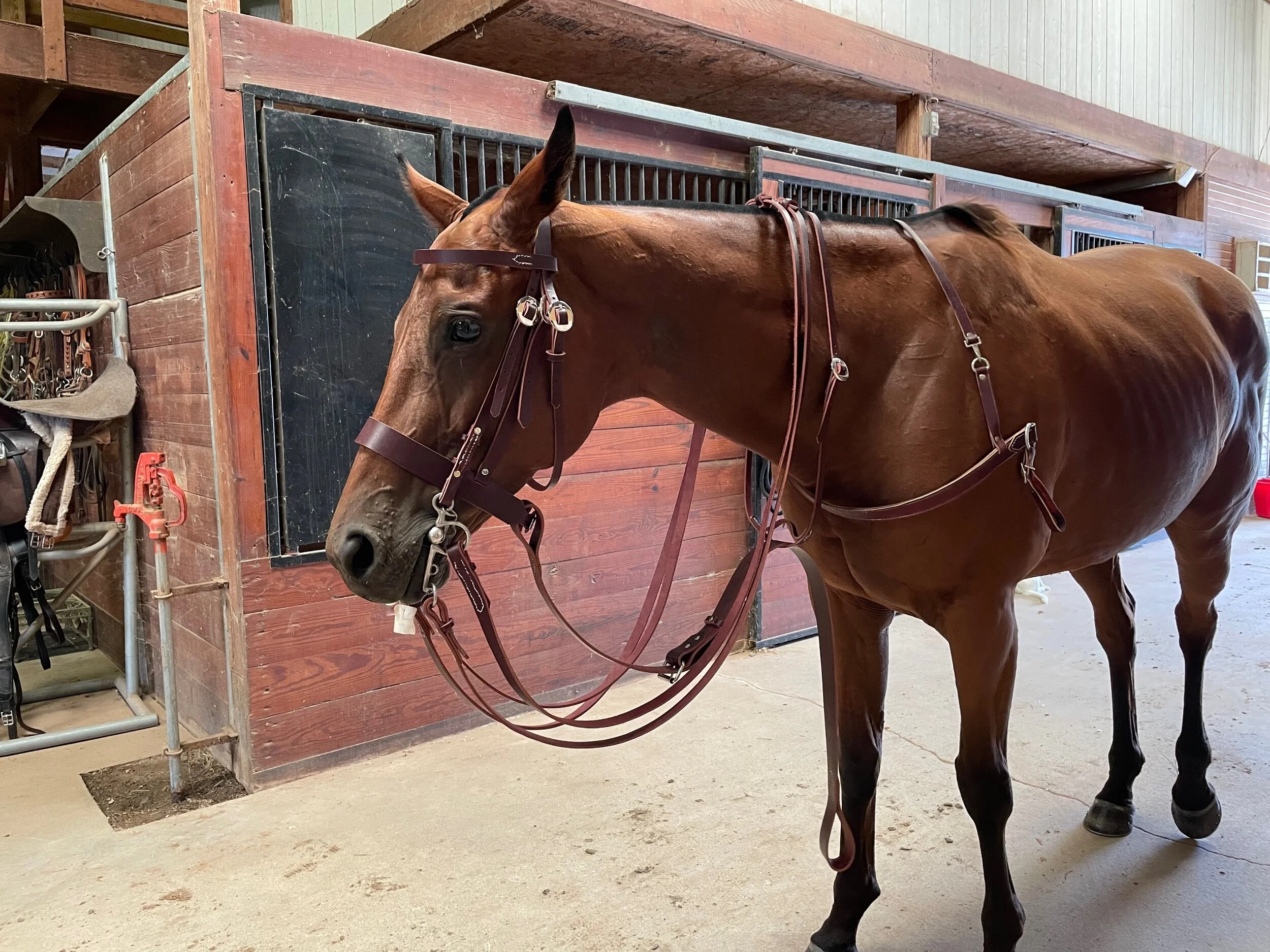 3EEA00A0-AA64-4A0E-8973-1AB461523494