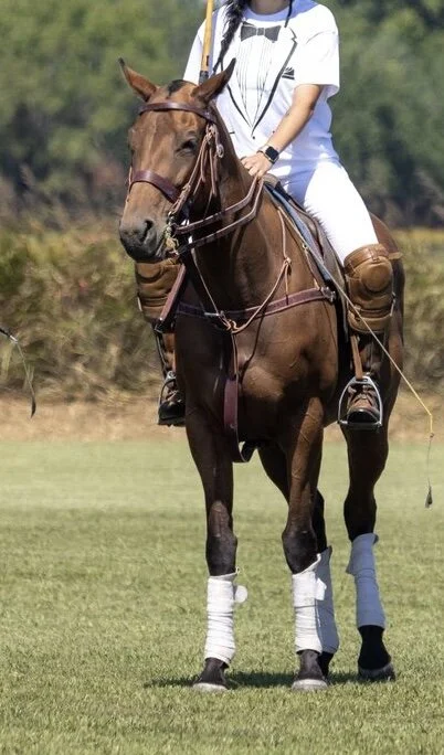 4C61A15A-D6C8-4E2B-A7BD-E77B21584B60