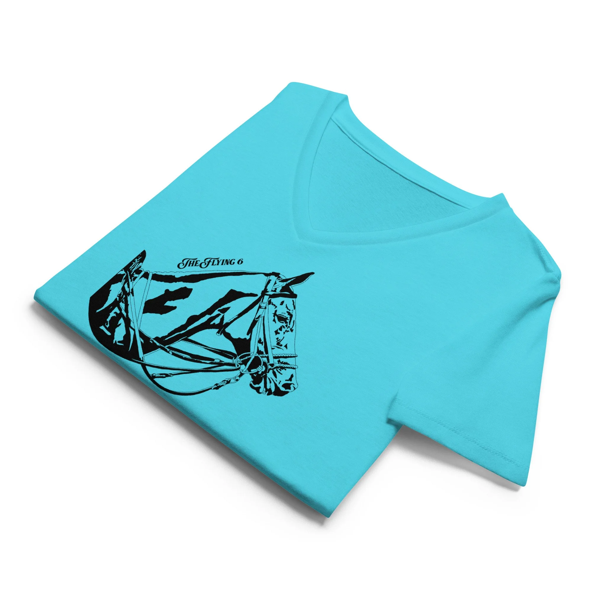 womens-relaxed-v-neck-t-shirt-turquoise-front-69debbce21819.jpg