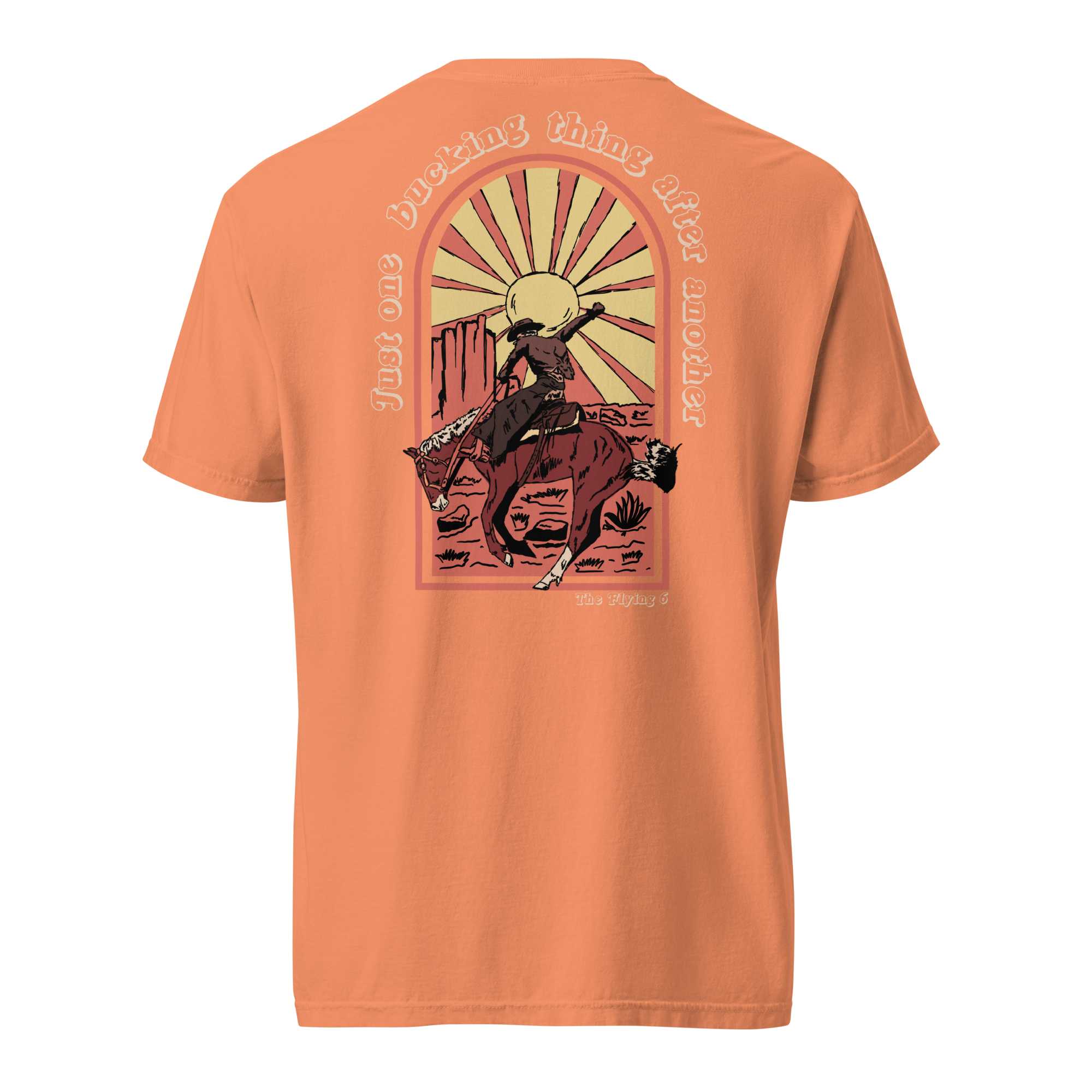 unisex-garment-dyed-heavyweight-t-shirt-terracotta-back-69dfb0fda0adb.png