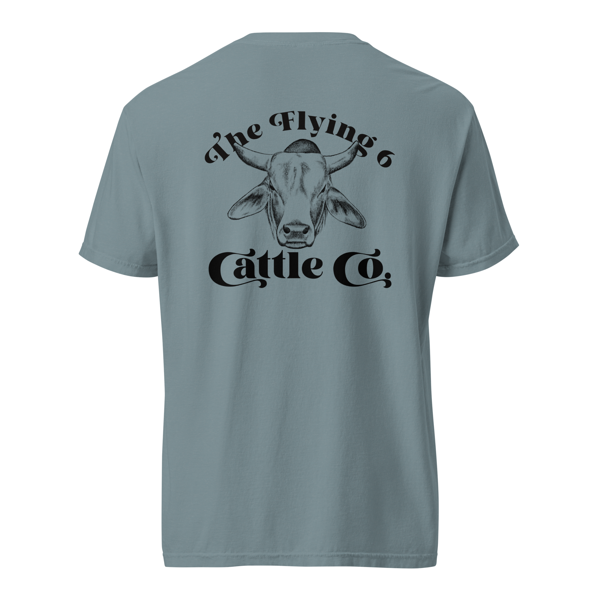 unisex-garment-dyed-heavyweight-t-shirt-ice-blue-back-69e008a1af1dc.png