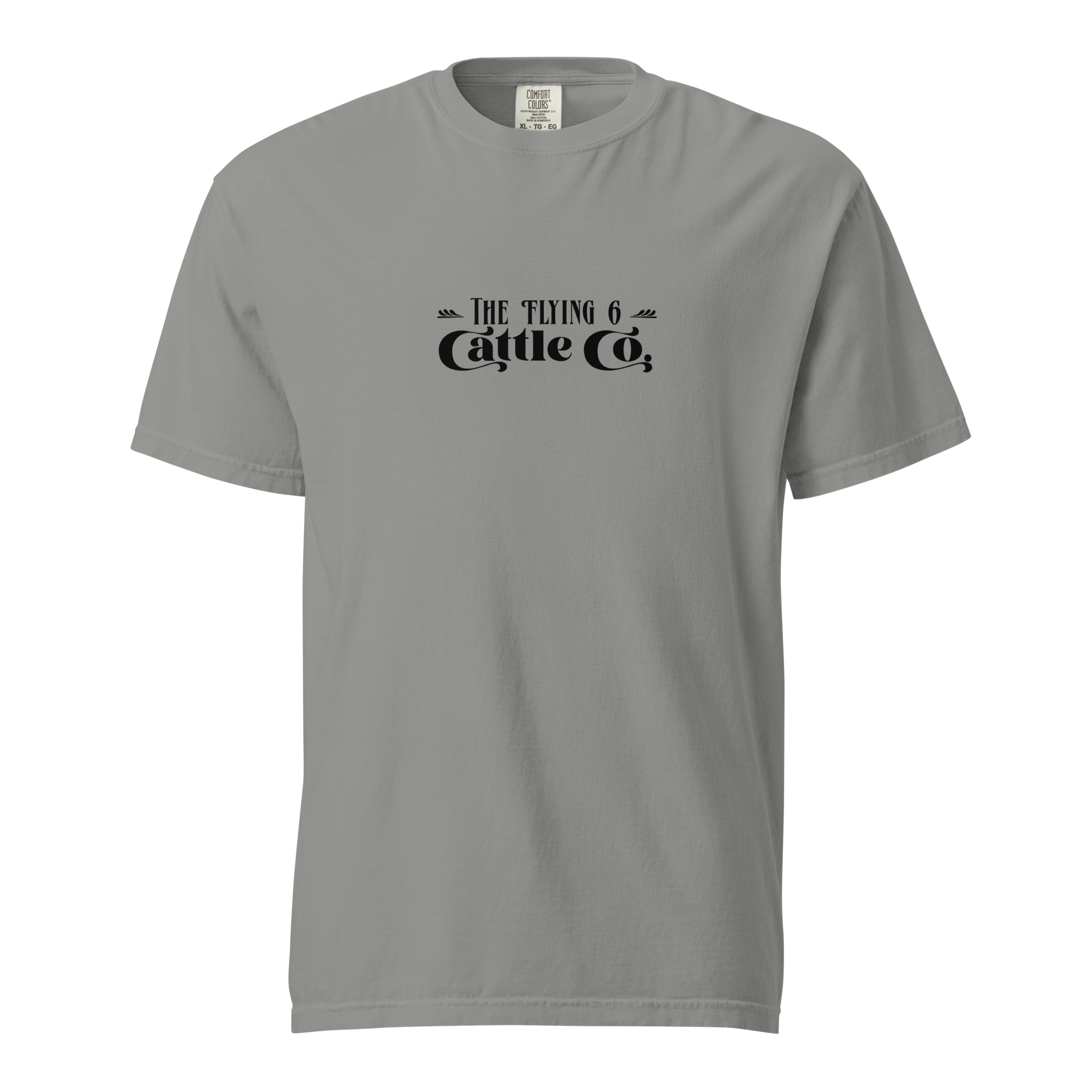 unisex-garment-dyed-heavyweight-t-shirt-grey-front-69e008a1acf44.png