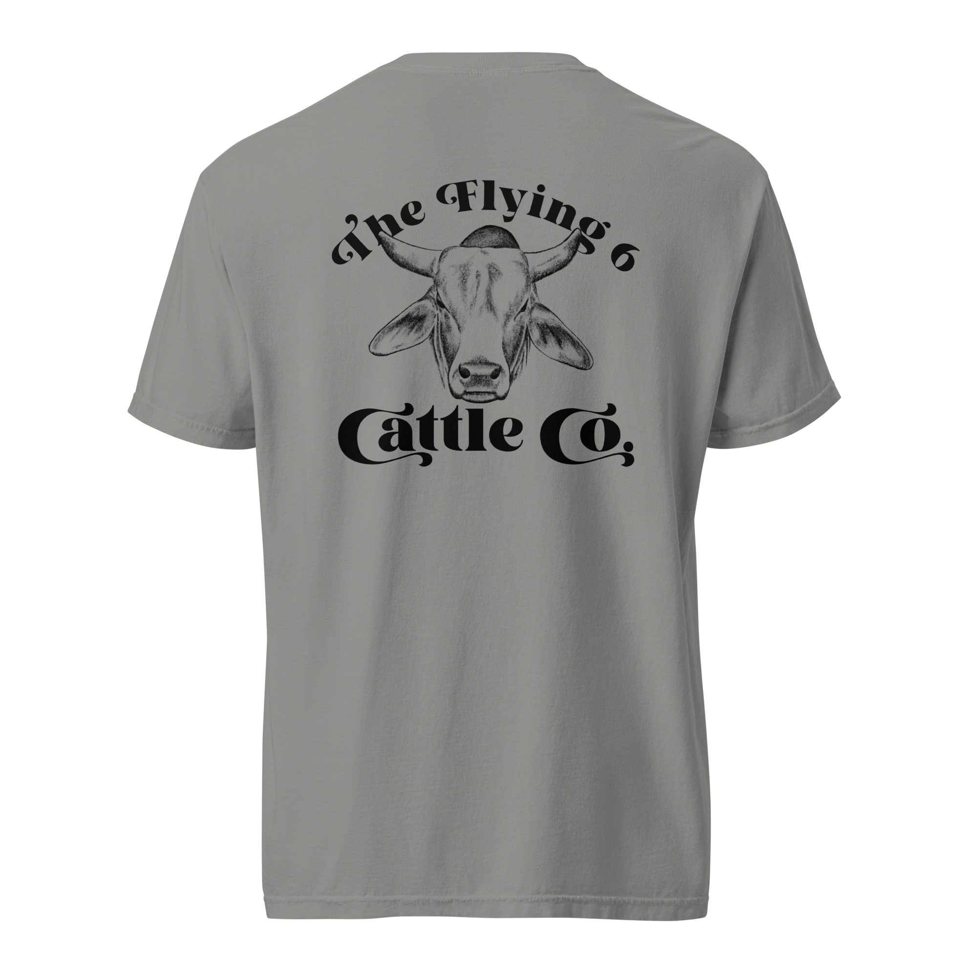 unisex-garment-dyed-heavyweight-t-shirt-grey-back-69e008a1af122.png
