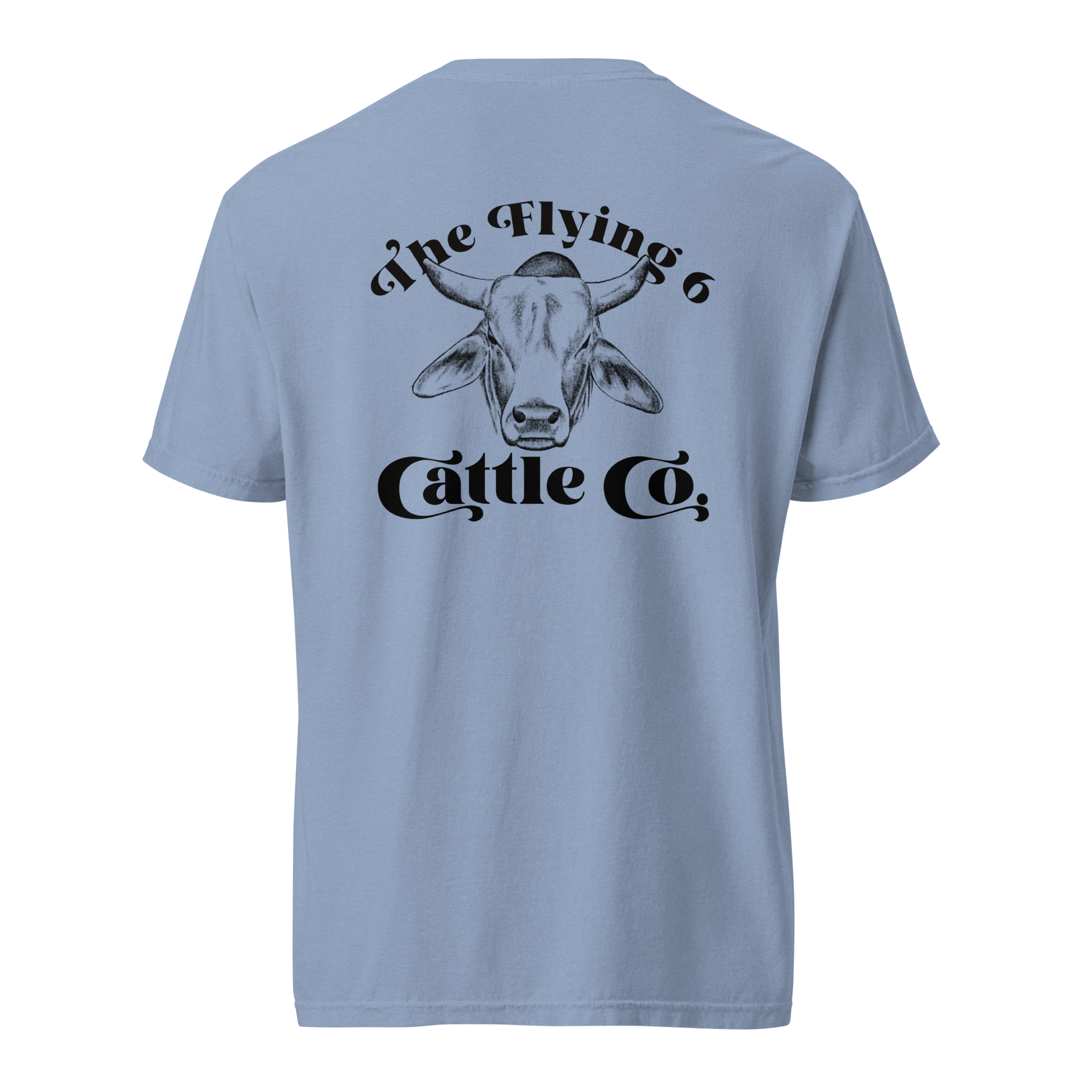 unisex-garment-dyed-heavyweight-t-shirt-washed-denim-back-69e008a1af40c.png