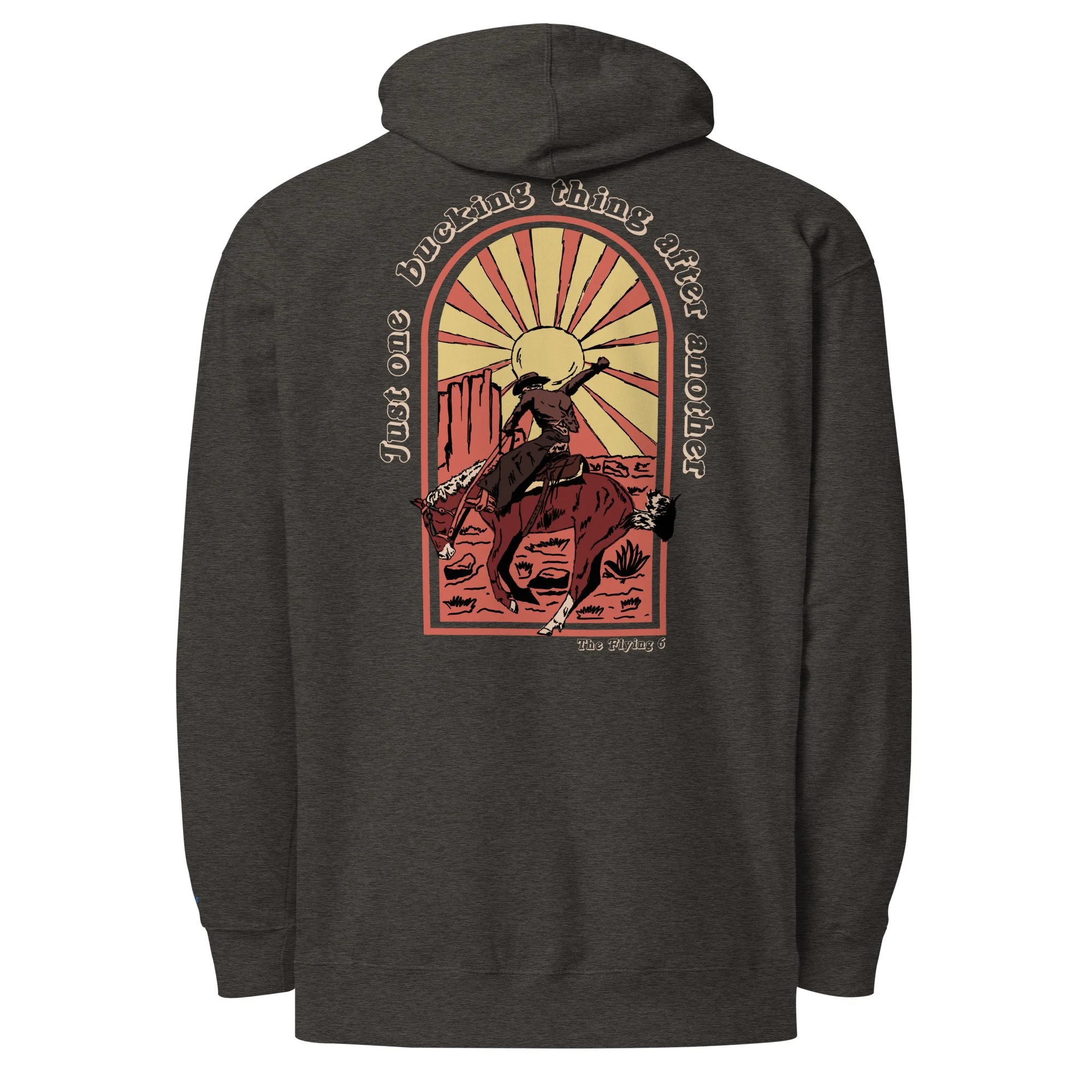 unisex-midweight-hoodie-charcoal-heather-back-6aa44b19a0e98.jpg