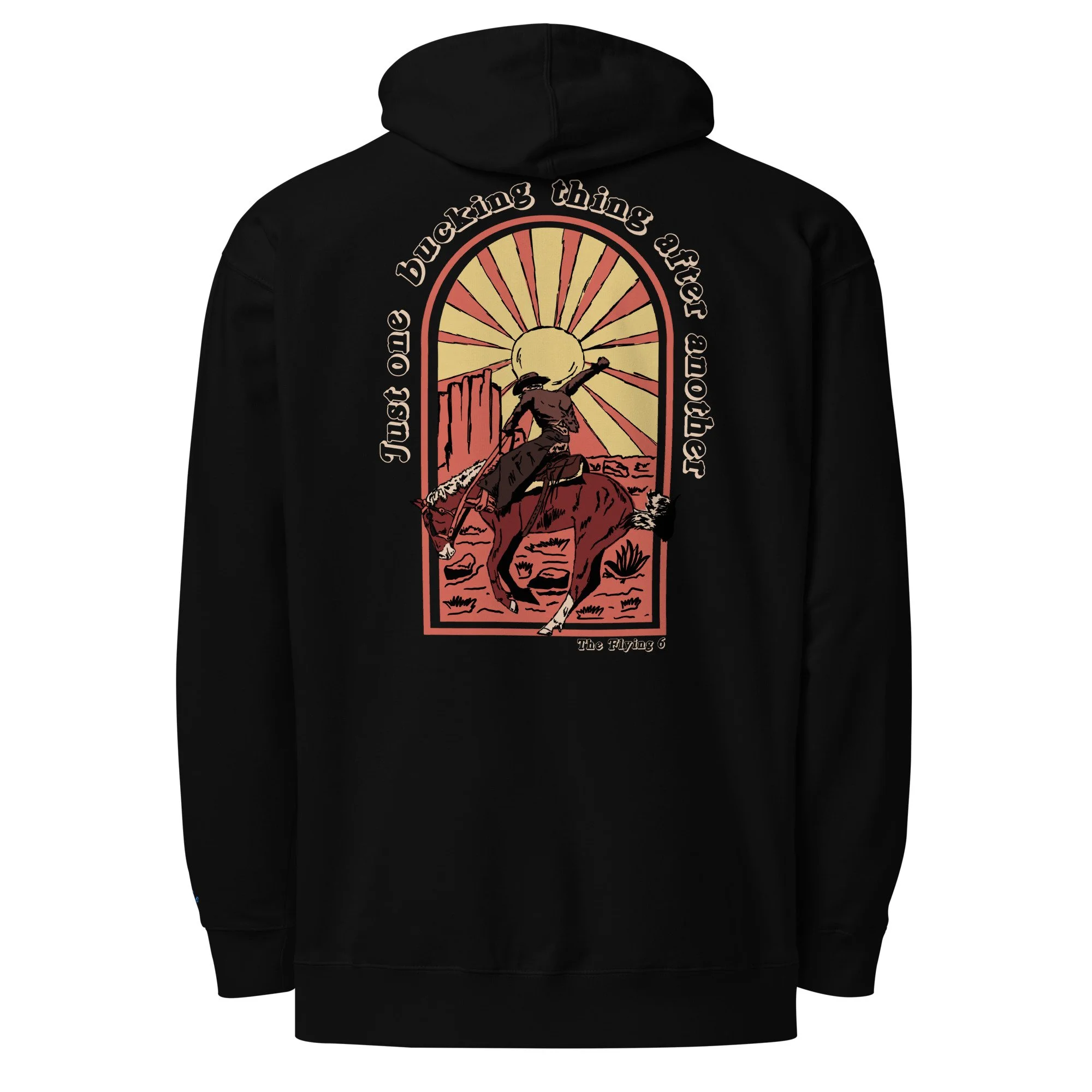 unisex-midweight-hoodie-black-back-6aa44b912e2ea.jpg