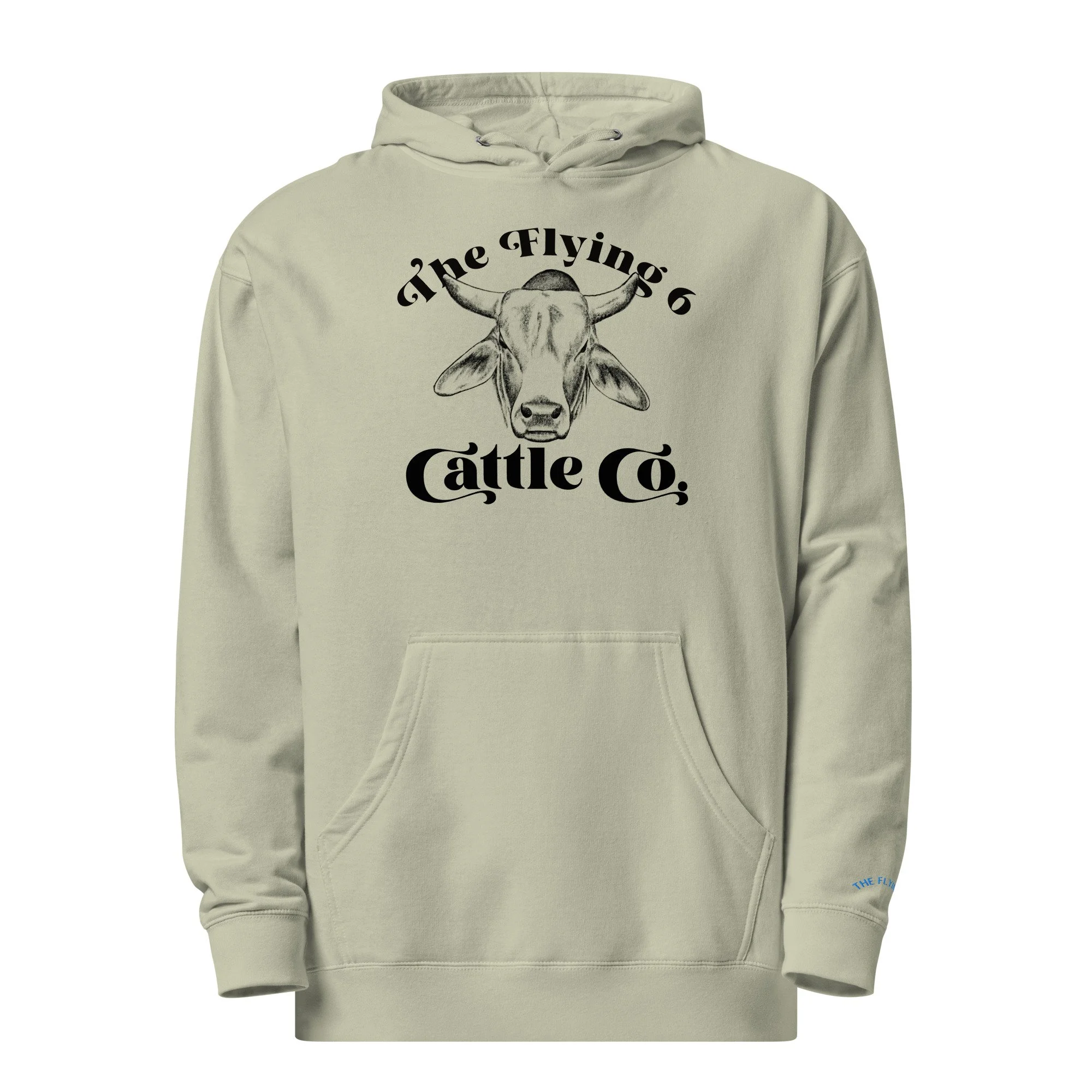 unisex-midweight-hoodie-dusty-sage-front-6aa44c4652a0a.jpg